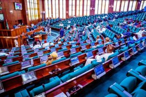 Service Chiefs, IGP Send Questions To House Of Reps Members Ahead Of Debate 20 House-of-Reps